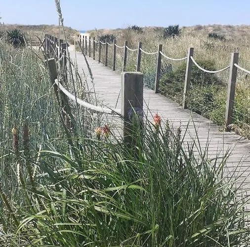 - Marina 4 - 17 Allee Des Pinons - 3-2 דירה *